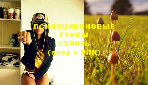 соль ск Никольск