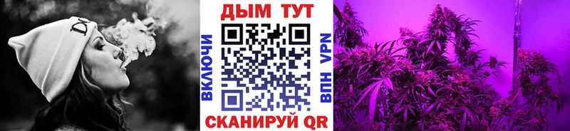 kraken как войти  Кемь  Шишки марихуана White Widow 